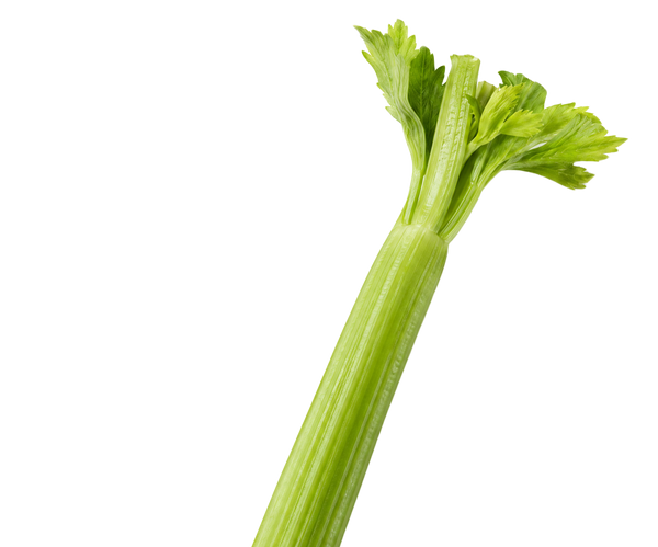Celery