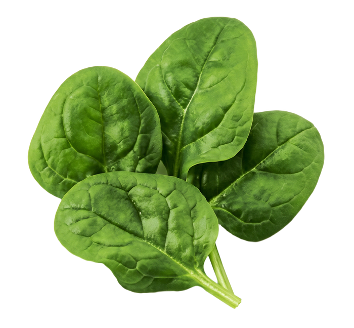 Spinach